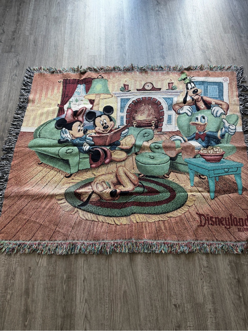 Disney World Woven Tapestry Throw Blanket 60 x 50 Mickey Minnie Pluto Fireplace